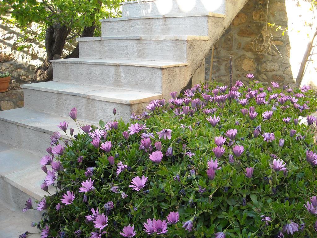 Theano Guesthouse Hidra Exterior foto
